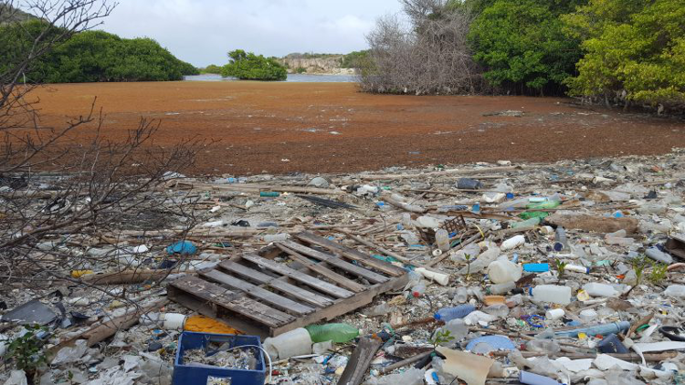 Locally or Globally induced? Tangible evidence of humans' influence on the coastal system